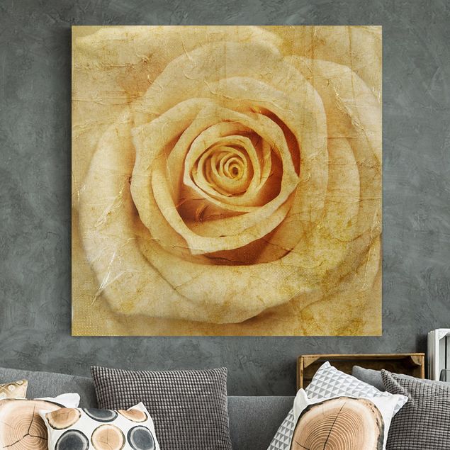 Leinwandbilder Rosen Vintage Rose