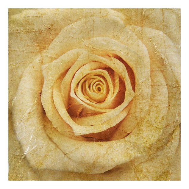 Leinwandbilder Vintage Rose