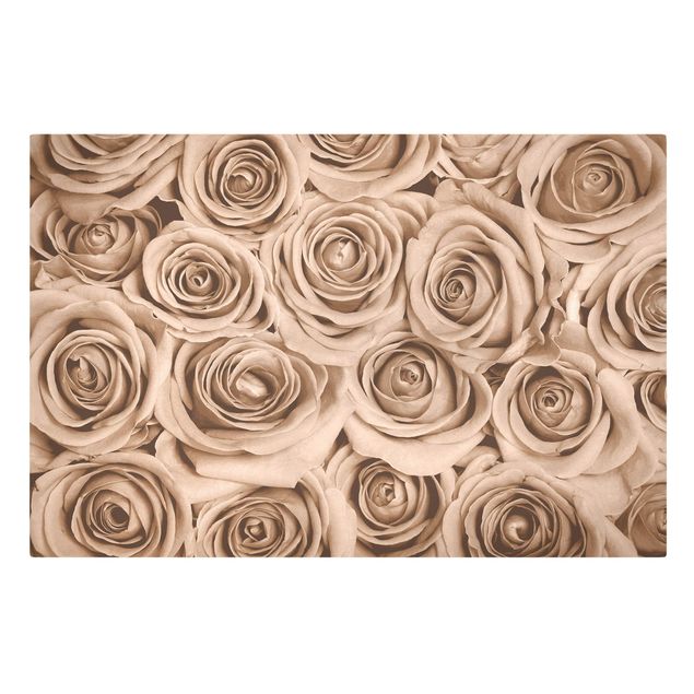 Leinwandbilder Vintage Rosen