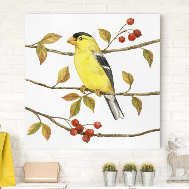 moderne Bilder auf Leinwand Vögel und Beeren - Goldzeisig