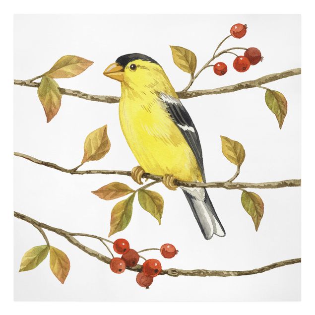 schöne Bilder Vögel und Beeren - Goldzeisig