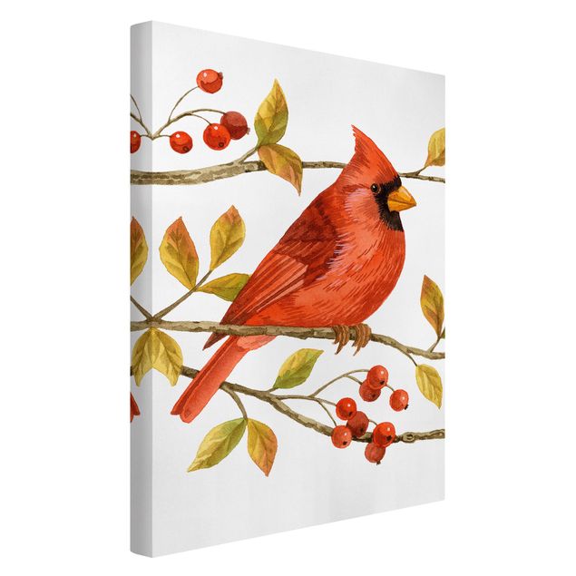 Leinwandbilder Tiere Vögel und Beeren - Rotkardinal