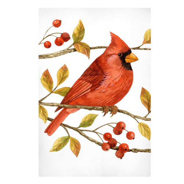 Wandbilder Vögel und Beeren - Rotkardinal