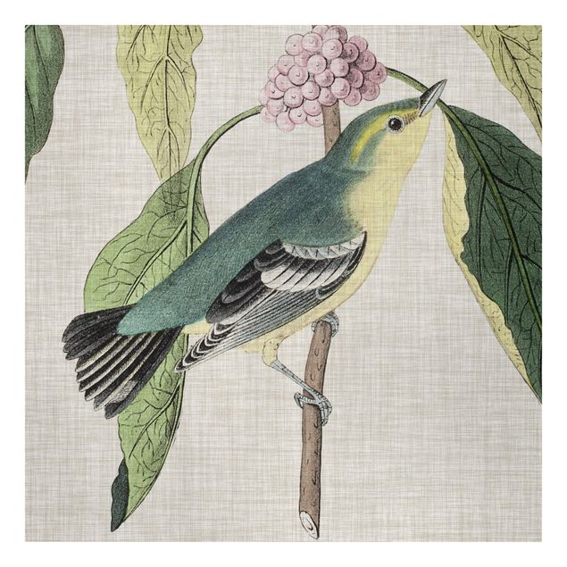 Wandbilder Vogel auf Leinen Rosa I