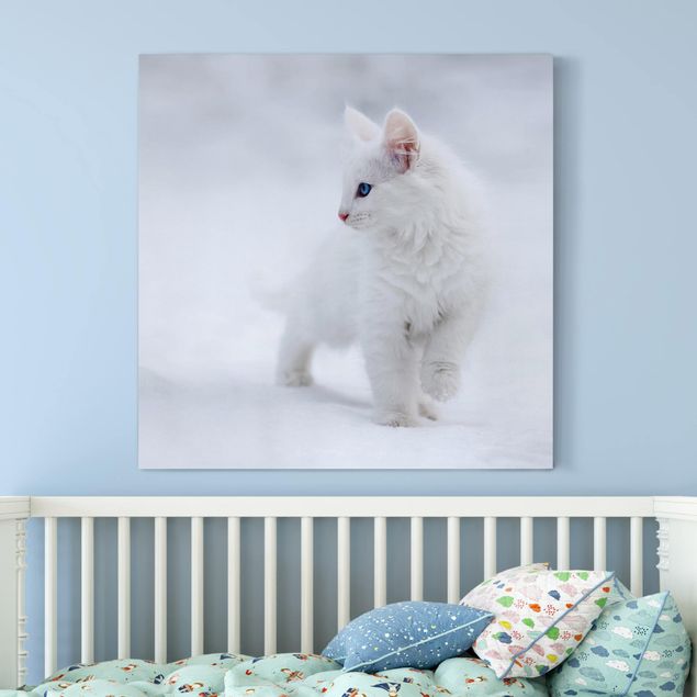 Leinwand Katze Weiß wie Schnee