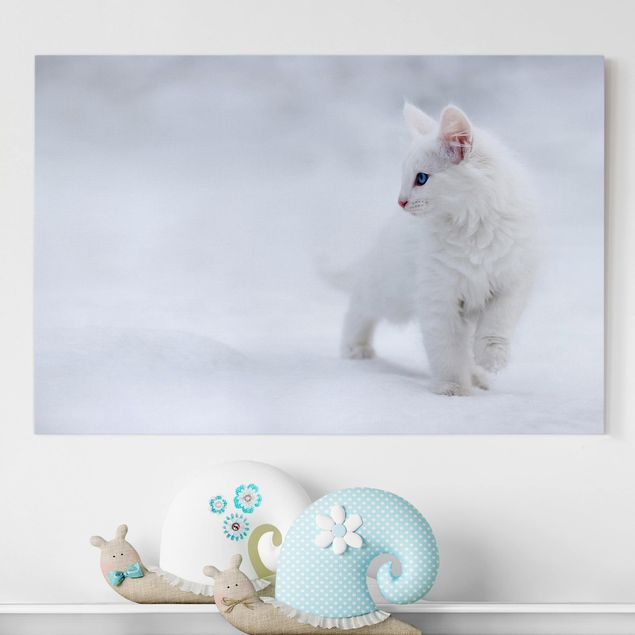 Leinwandbild Katze Weiß wie Schnee
