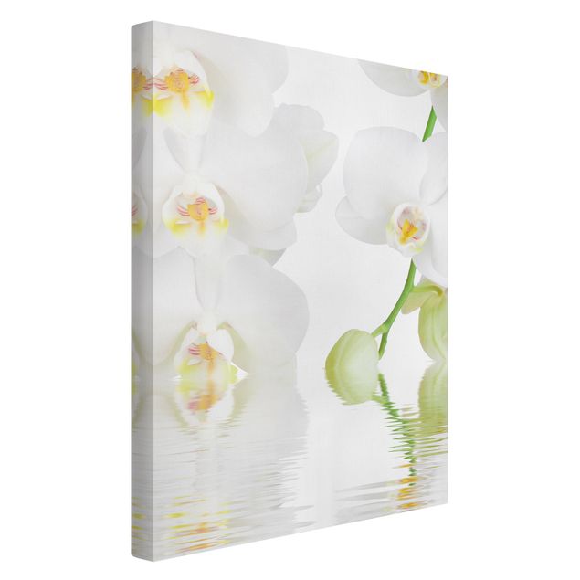 schöne Leinwandbilder Wellness Orchidee - Weiße Orchidee