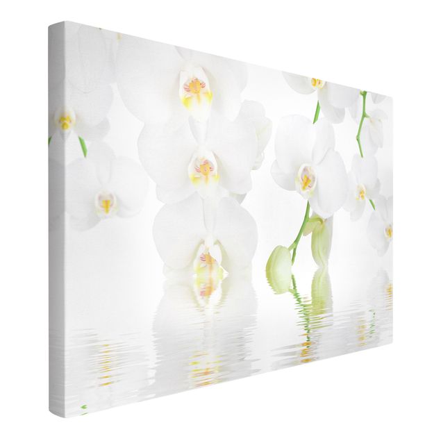 Leinwandbilder kaufen Wellness Orchidee - Weiße Orchidee