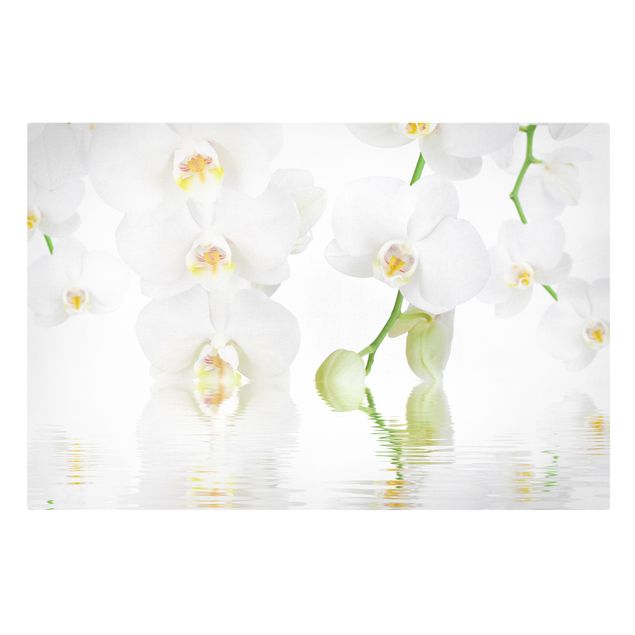 Leinwandbild - Wellness Orchidee - Weiße Orchidee - Quer 3:2