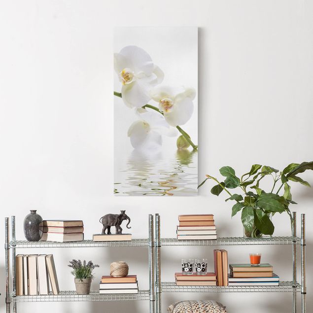 Wandbilder White Orchid Waters