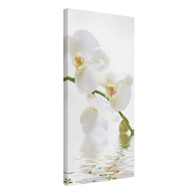 Leinwandbilder kaufen White Orchid Waters