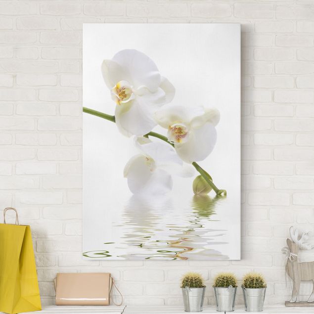 Leinwand Orchidee White Orchid Waters