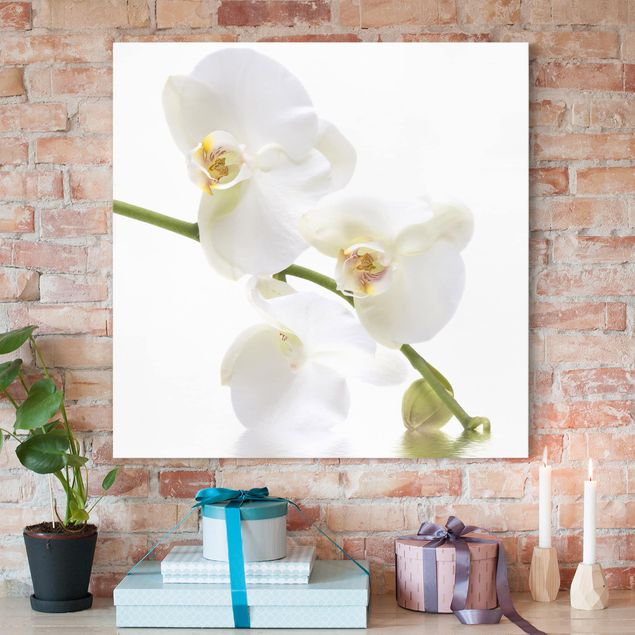 Orchidee Leinwand White Orchid Waters