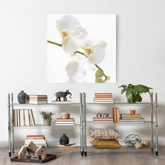 Blumenbilder auf Leinwand White Orchid Waters
