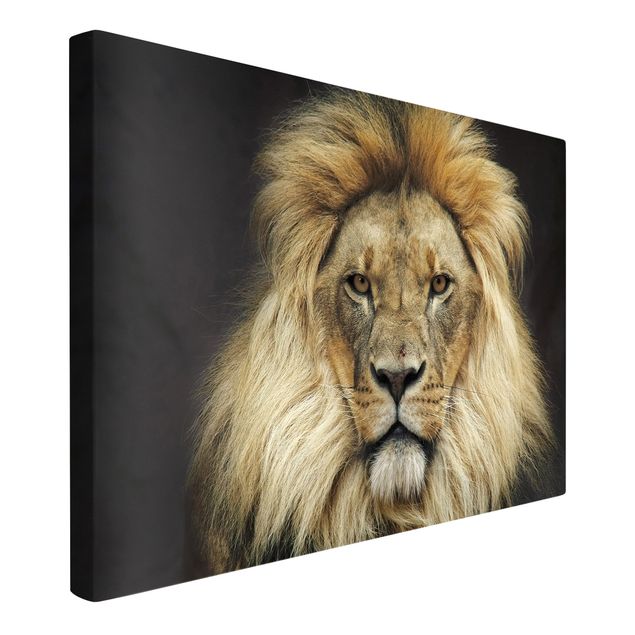 Leinwandbilder kaufen Wisdom of Lion