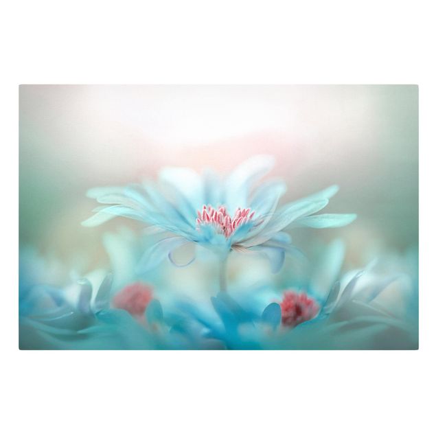 Leinwandbild - Zarte Blüten in Pastell - Quer 3:2