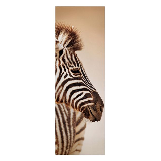 Leinwandbild - Zebra Baby Portrait - Panorama Hoch