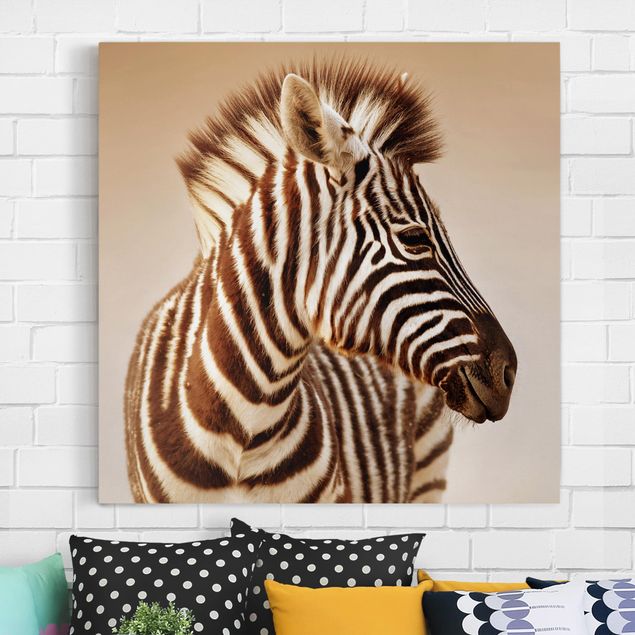 Leinwand Tiere Zebra Baby Portrait