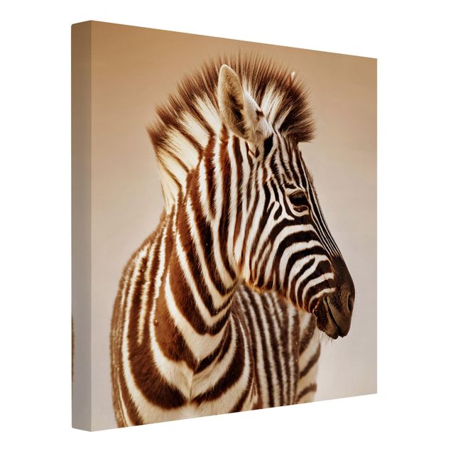 Leinwandbild - Zebra Baby Portrait - Quadrat 1:1
