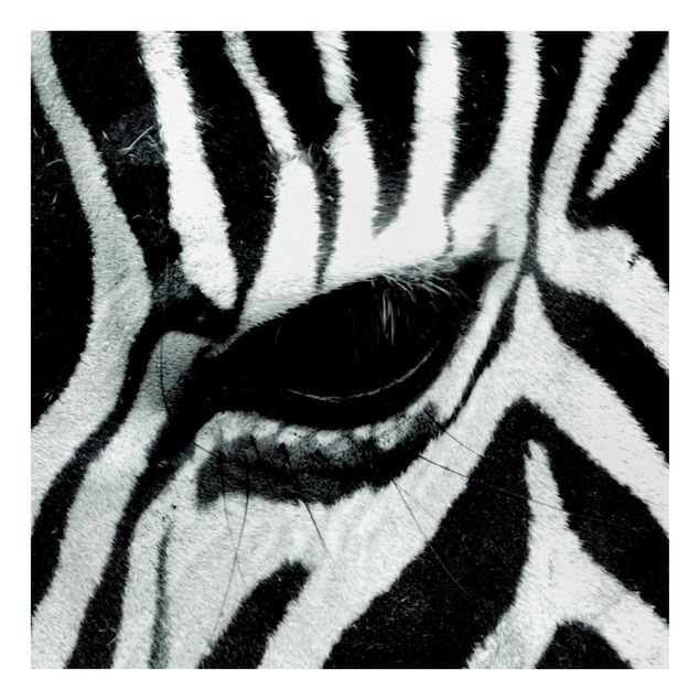 Leinwandbild - Zebra Crossing - Quadrat 1:1