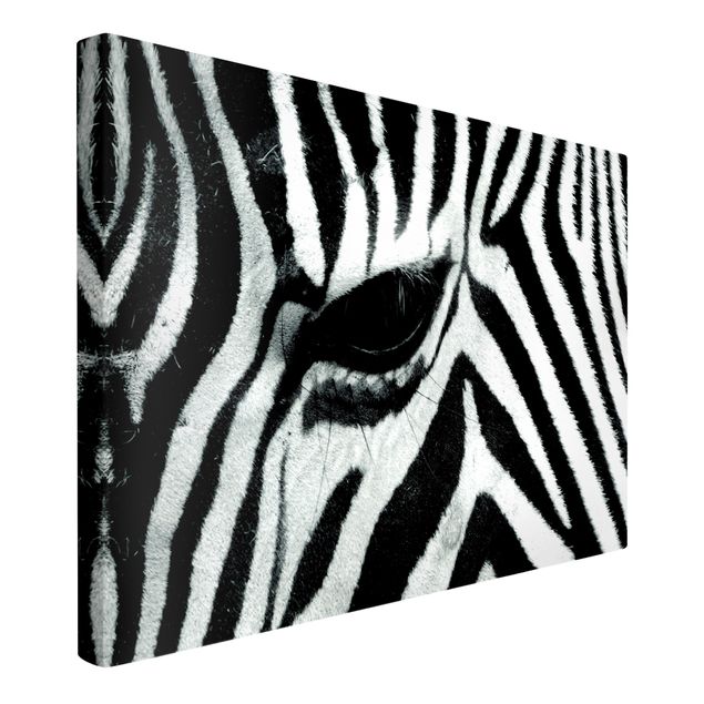 Leinwandbilder Zebra Crossing