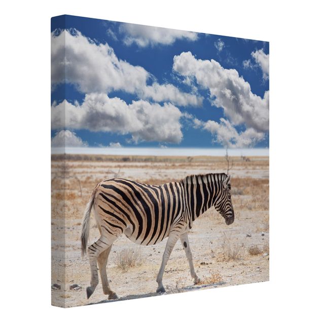 Leinwandbilder Zebra in der Savanne