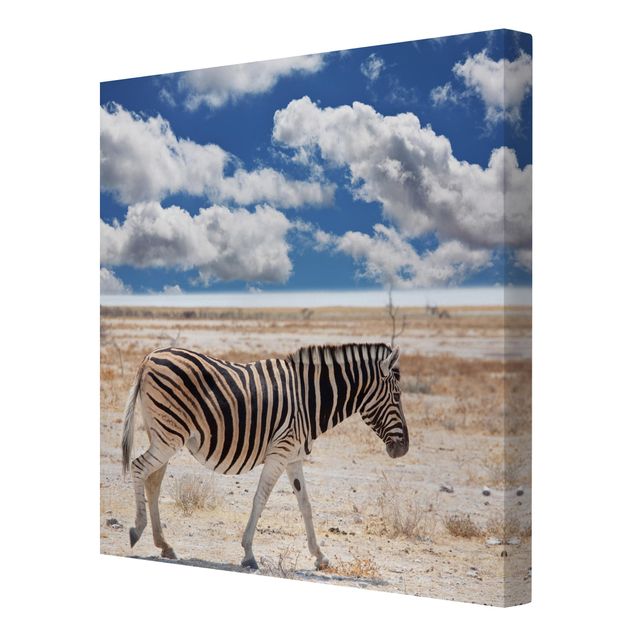 Leinwandbild - Zebra in der Savanne - Quadrat 1:1
