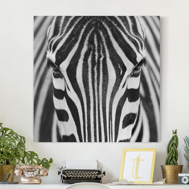 Tierbilder Leinwand Zebra Look