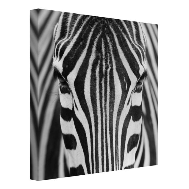 Leinwandbild - Zebra Look - Quadrat 1:1