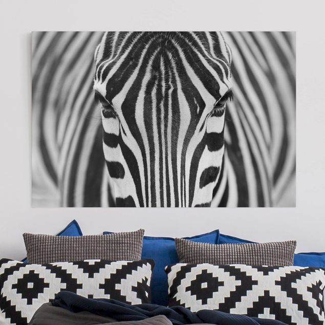Wandbilder Zebra Look