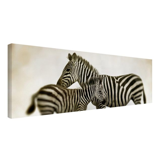 schöne Leinwandbilder Zebrapaar