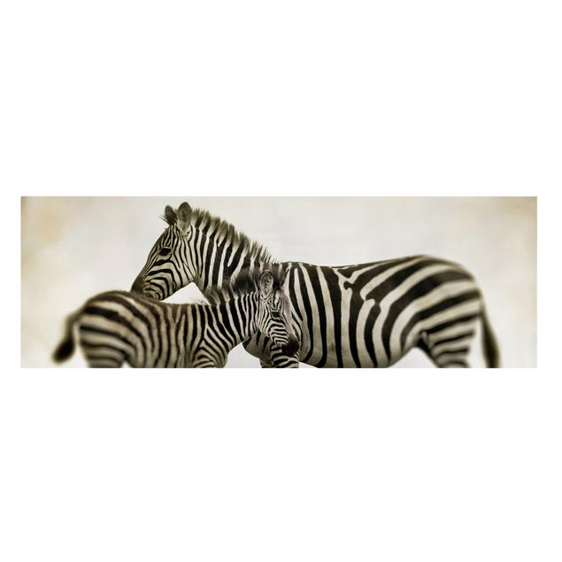 Leinwandbild Schwarz-Weiß - Zebrapaar - Panoramabild Quer