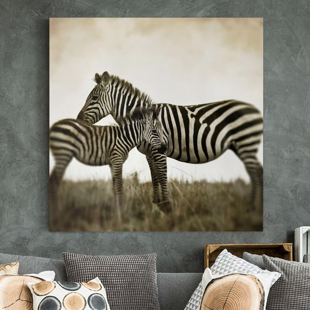Tierbilder Leinwand Zebrapaar