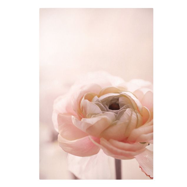 Leinwandbilder Rosa Blüte im Fokus
