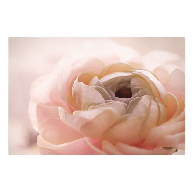 schöne Leinwandbilder Rosa Blüte im Fokus