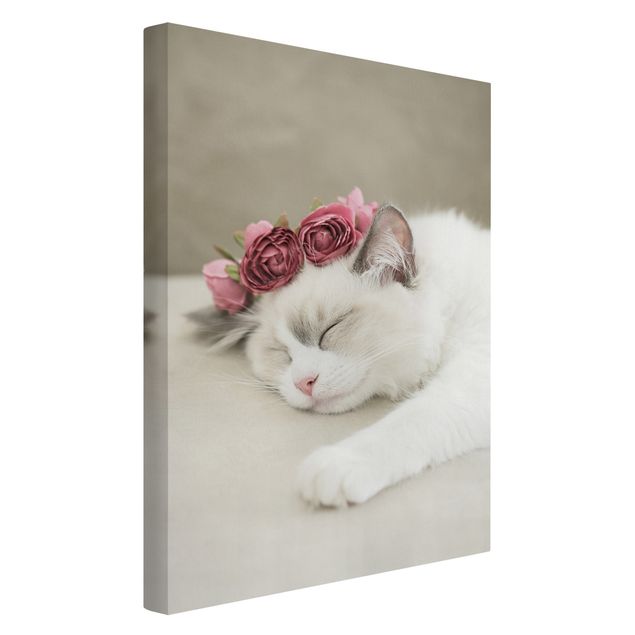 Tierbilder Leinwand Schlafende Katze mit Rosen