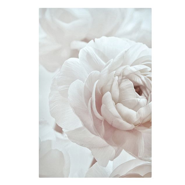 schöne Leinwandbilder Weiße Blüte im Blütenmeer