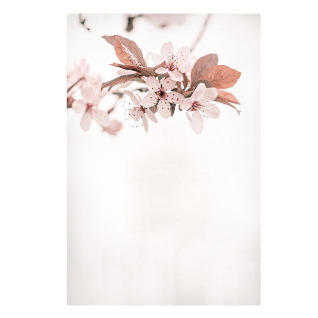 Leinwandbild - Zarte Kirschblüten am Zweig - Hochformat 2:3