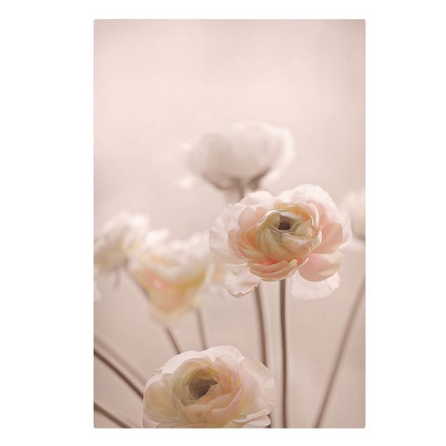 Bilder Zarter Strauch an Rosa Blüten