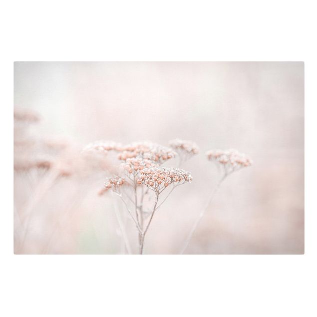 Leinwandbild - Zartrosane Wildblumen - Querformat 3:2