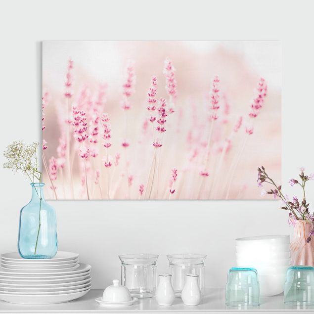 Leinwandbilder Blumen Zartrosaner Lavendel