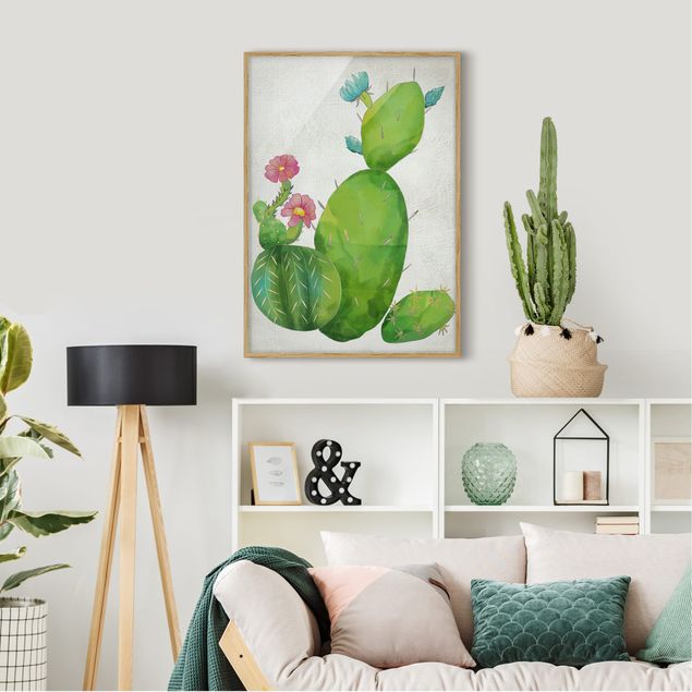 schöne Bilder Kaktusfamilie rosa türkis