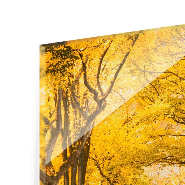 Glasbild - Herbst im Central Park - Hochformat 2:3