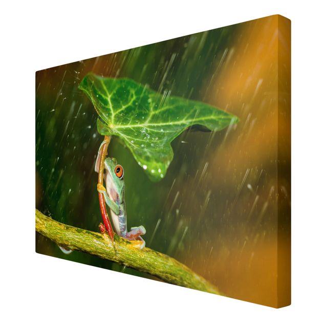 Leinwandbild - Ein Frosch im Regen - Querformat 2:3