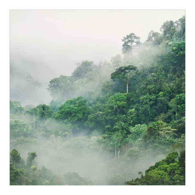 selbstklebende Tapete Dschungel im Nebel