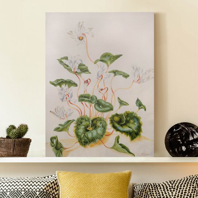 Blumenbilder auf Leinwand Anna Maria Sibylla Merian - Weiße Veilchen