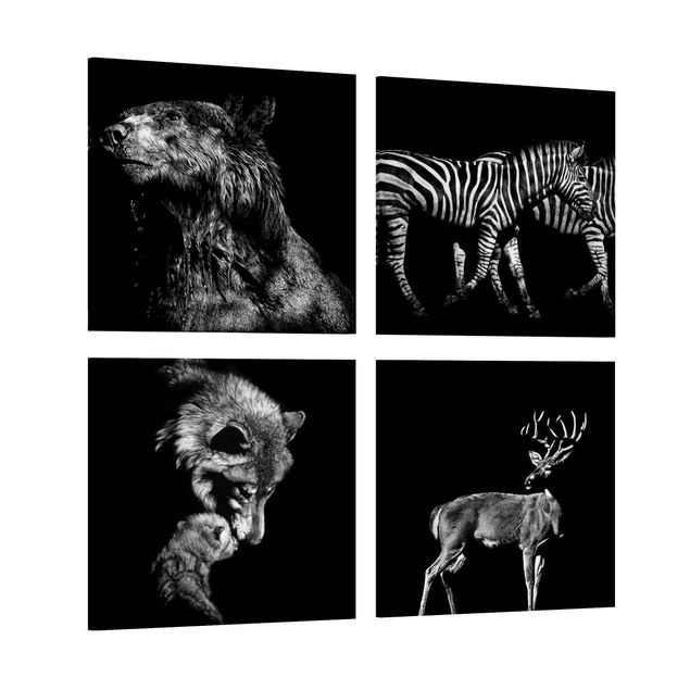 Leinwandbild 4-teilig - Wildtiere vor Schwarz Set I