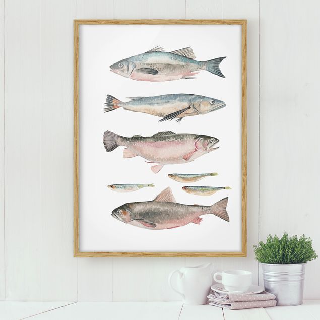 Moderne Bilder mit Rahmen Sieben Fische in Aquarell I