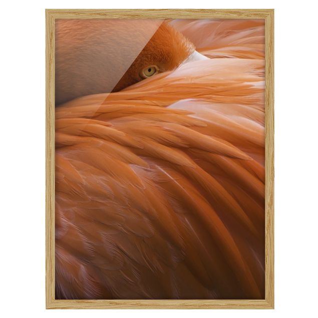gerahmte Bilder Flamingofedern