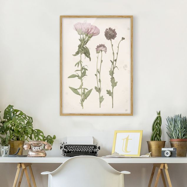 Blumen Bilder mit Rahmen Herbarium in rosa III